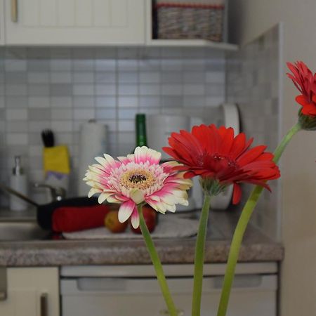 Ferienapartments Urlaub Und Meer Kuehlungsborn Bilik gambar