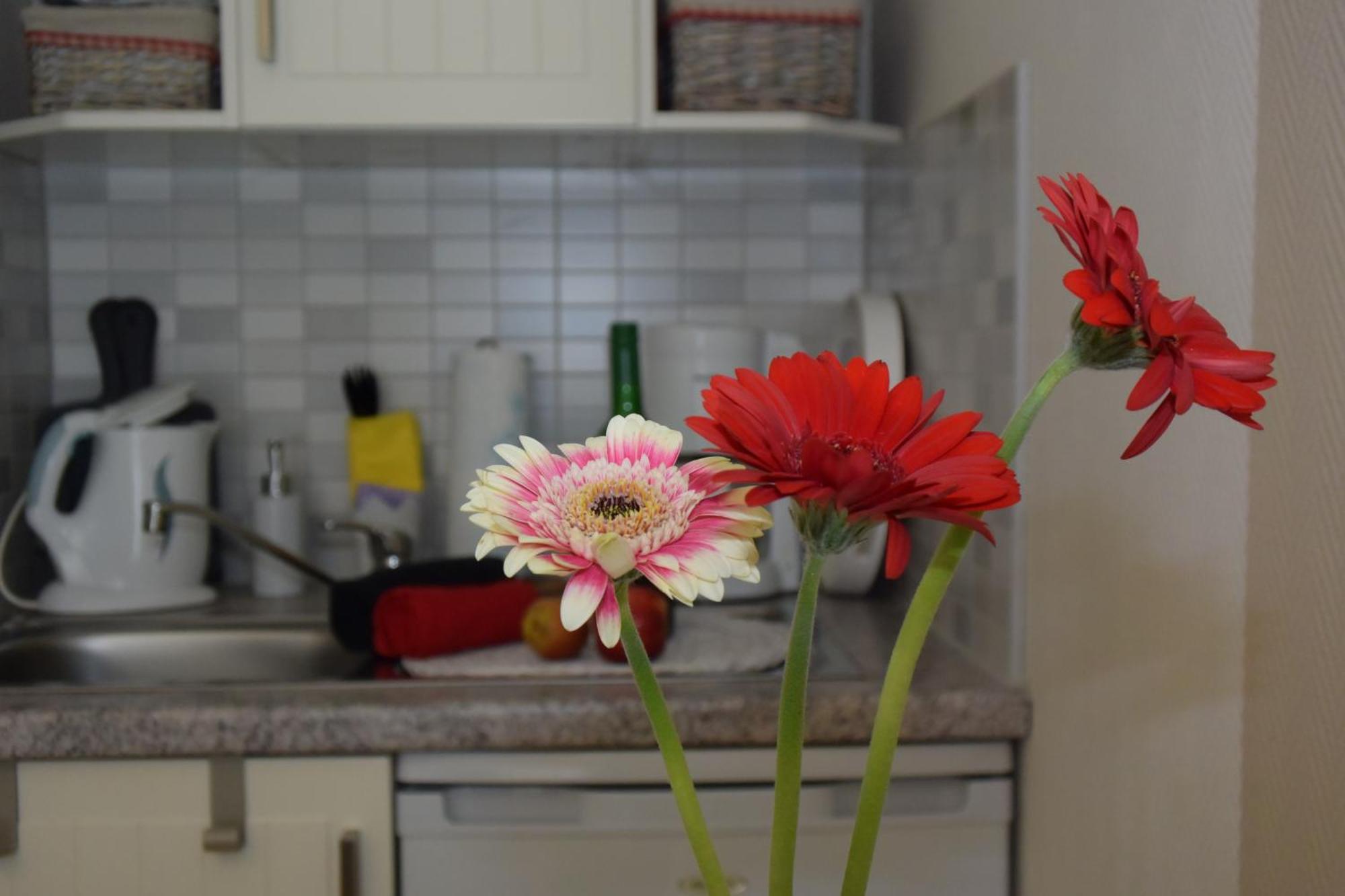 Ferienapartments Urlaub Und Meer Kuehlungsborn Bilik gambar